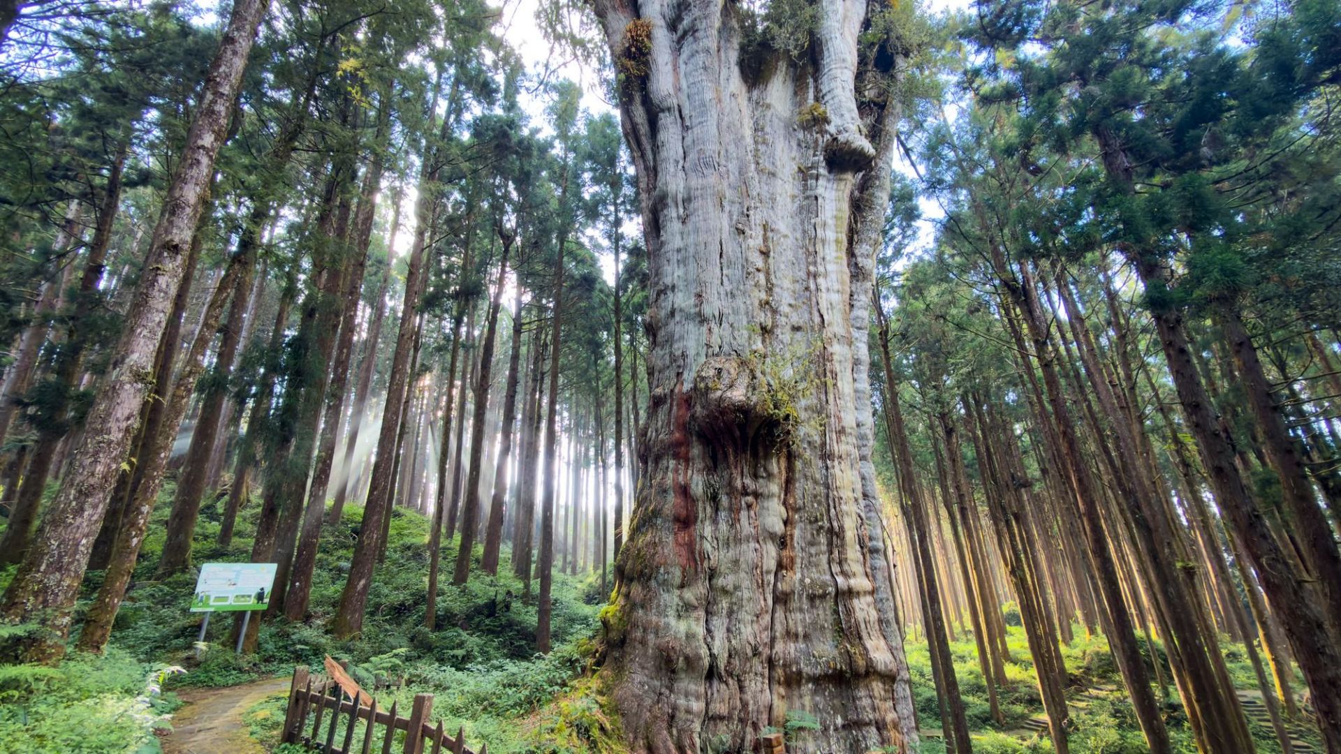 ALL_news_26C11_IsqMQZHyl1