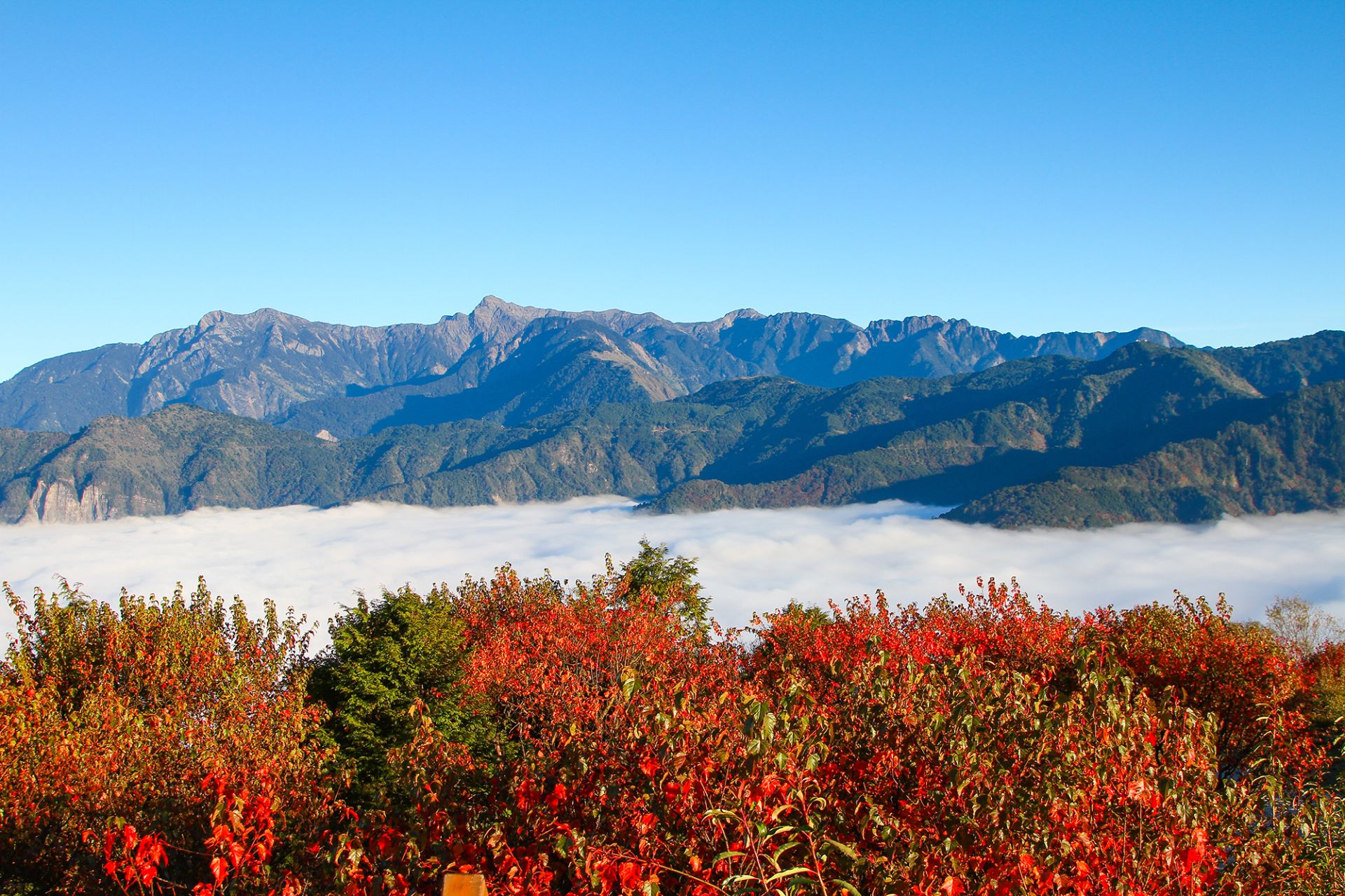 twL_news_25K26_Fm7ux8rFV1