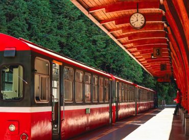 紐時：2025全球必訪旅行目的地，台灣唯一入選的阿里山超級美
