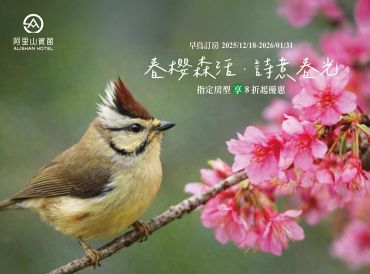 阿里山花季3/10日開跑｜櫻花主題房早鳥優惠8折起