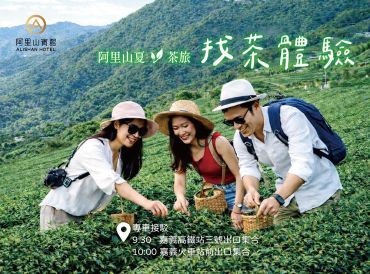 阿里山迎夏茶旅｜生立農場採茶、茶料理、品茗體驗